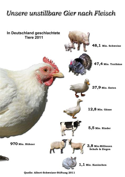 Meerschweinchen Kaufen Stuttgart — Entdecke 8 Anzeigen Für pour Dsungarischer Zwerghamster Züchter