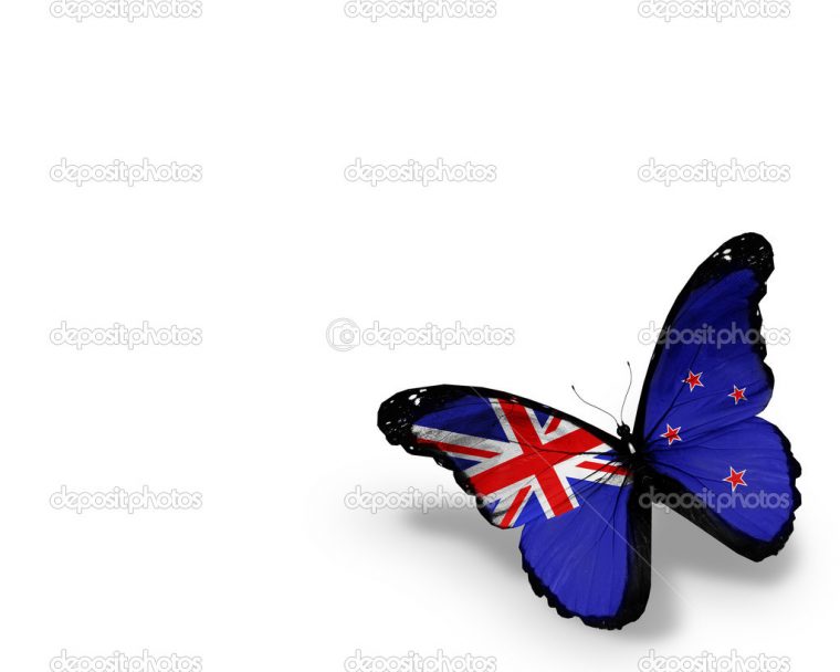 Neuseeland Flagge Schmetterling, Isoliert Auf Weißem encequiconcerne Schmetterling Spanisch