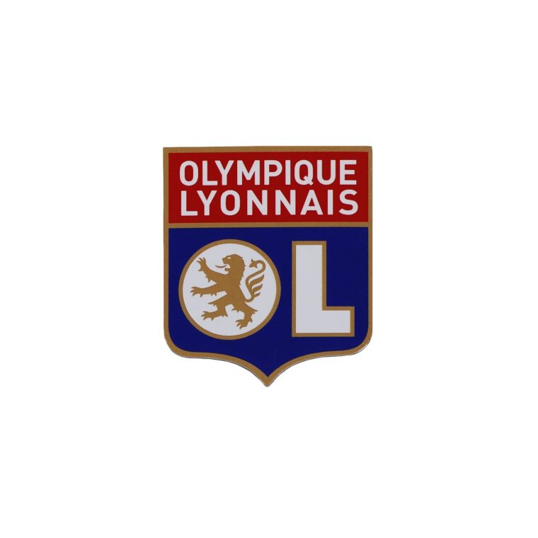 Offre Emploi : Commercial Pour Ol Voyages destiné Drapeau Olympique Lyonnais