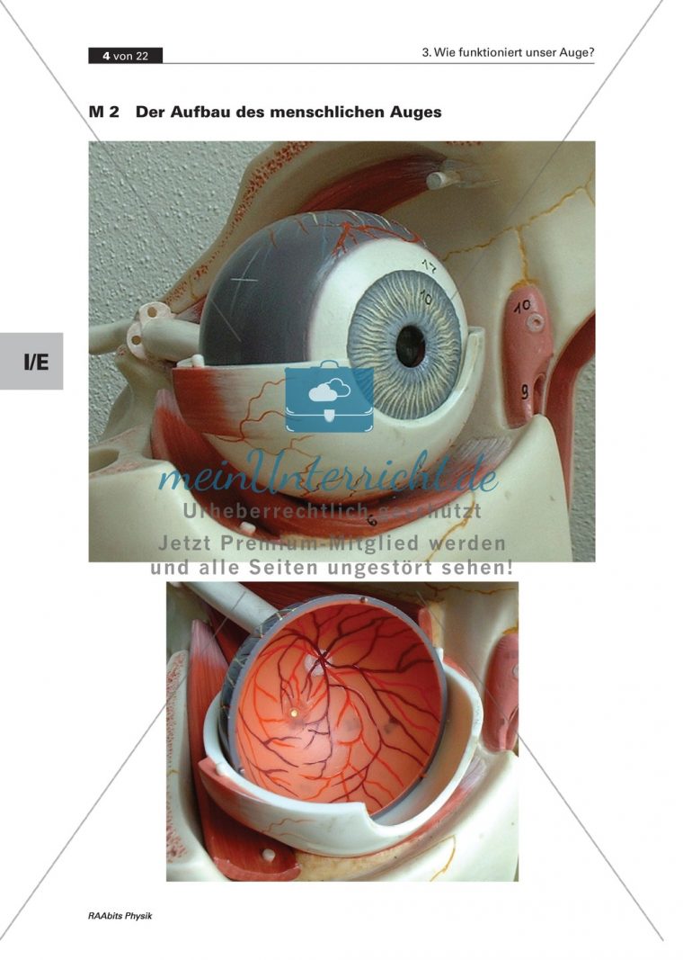 Optik: Wie Das Menschliche Auge Funktioniert. Mit Aufgaben intérieur Wie Ist Das Auge Aufgebaut