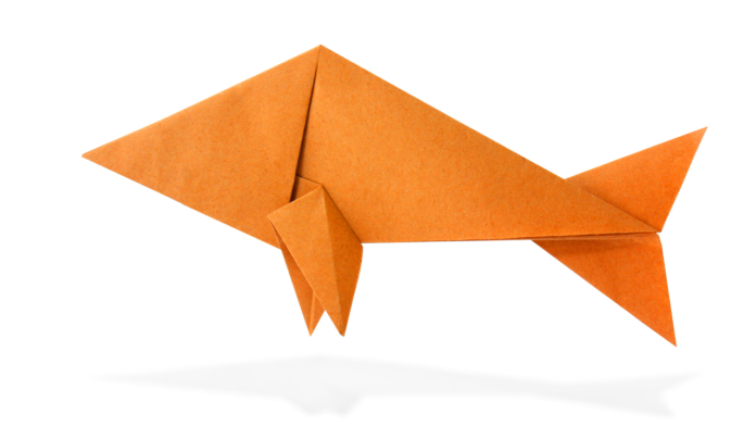 Origami Fisch Falten Anleitung – Raubfisch Falten – Dauer avec Faltanleitung Fisch Einfach
