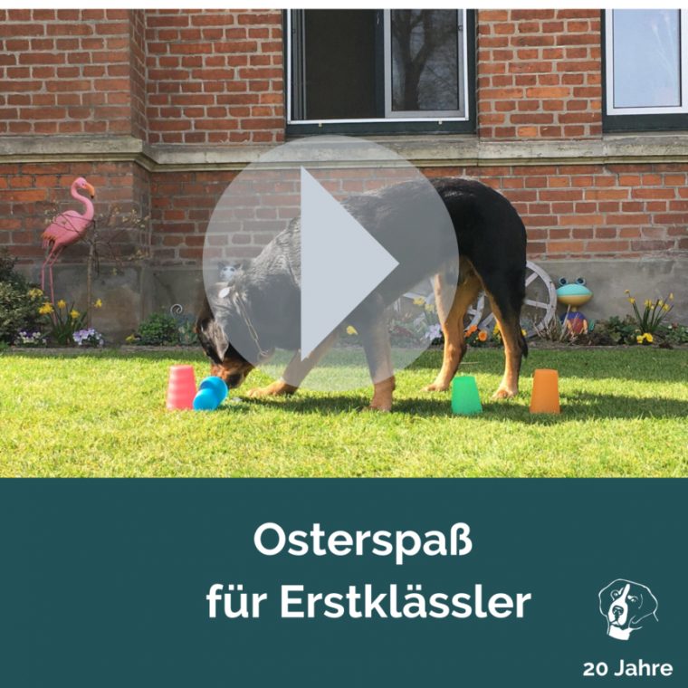 Osterspaß Für Erstklässler | Hundeschule Anni Warfen intérieur Spiele Für Erstklässler