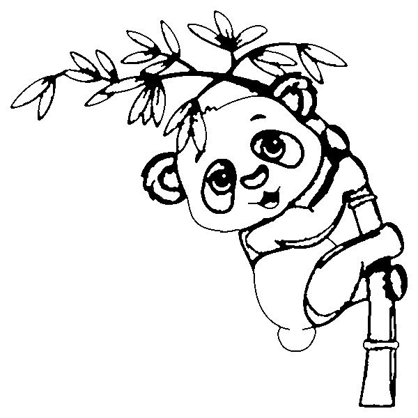 Panda Bär Ausmalbilder Zum Ausdrucken » Super Malvorlagen dedans Schöne Bilder Zum Ausmalen