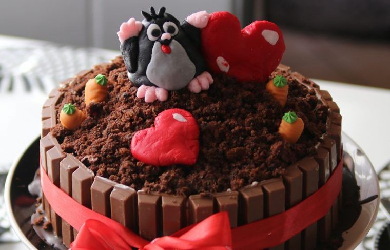 [Rezept] Geburtstagskuchen – Maulwurfskuchen Deluxe | Miss destiné Geburtstagskuchen 2