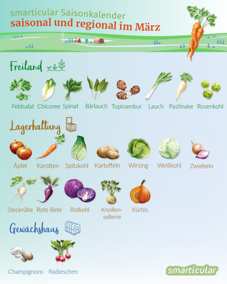Saisonkalender März – Obst Und Gemüse Regional Und destiné Obst Und Gemüse Abc Arbeitsblatt