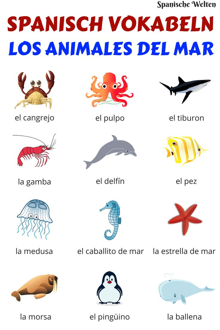 Spanisch Vokabeln: Meerestiere | Spanisch Vokabeln concernant Schmetterling Spanisch