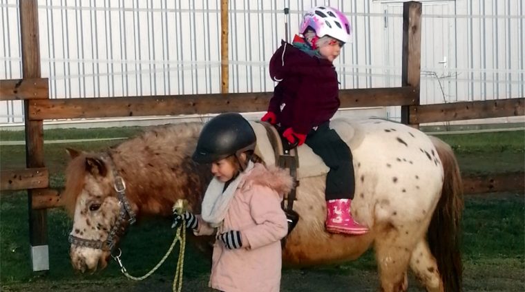 Stephanie Sauler Schenkt Kindern Zeit Mit Pferden concernant Mit Pferden Spielen