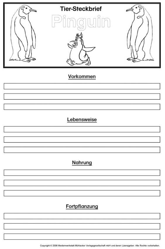 Vorlage Tiersteckbrief: Pinguine – Medienwerkstatt-Wissen pour Steckbrief Tier Vorlage