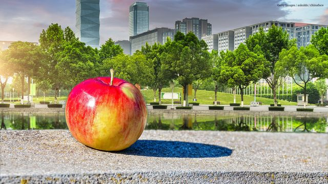 Wie Gesund Sind Birnen? Alle S Über Die Leckere Frucht intérieur Unterschied Obst Frucht