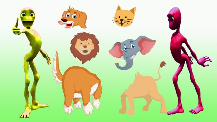 Wildtiere Dokumentation – Tiere Für Kindergartenkinder encequiconcerne Quiz Für Kindergartenkinder