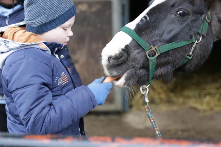 Willicherin Schenkt 15 Kindern Zu Weihnachten Zeit Mit à Mit Pferden Spielen
