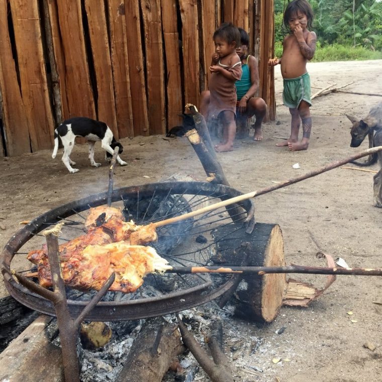Zu Besuch Bei Den Ka'Apor-Indianern Im Regenwald | Duda.news destiné Nahrung Der Indianer