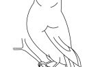 119 Dessins De Coloriage Oiseau À Imprimer Sur Laguerche avec Coloriage Des Vaisseaux D&amp;#039; Albator