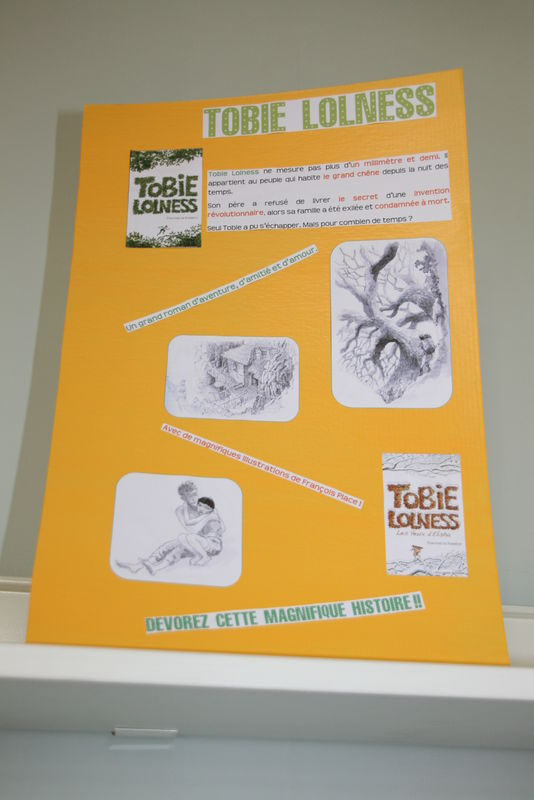 Affiches "Publicitaires" Pour Les Livres Du Cdi – Blog-O concernant Abaccacdaire D'Un Livre Exemple