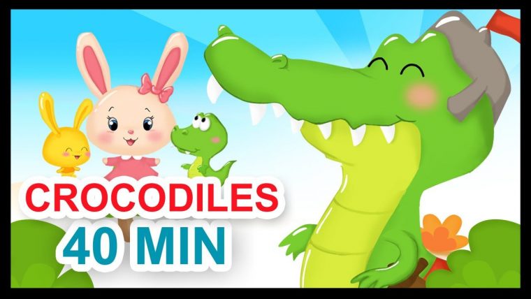 Ah Les Crocodiles Et 40 Min De Comptines – Titounis dedans Le Francais Avec Titounis