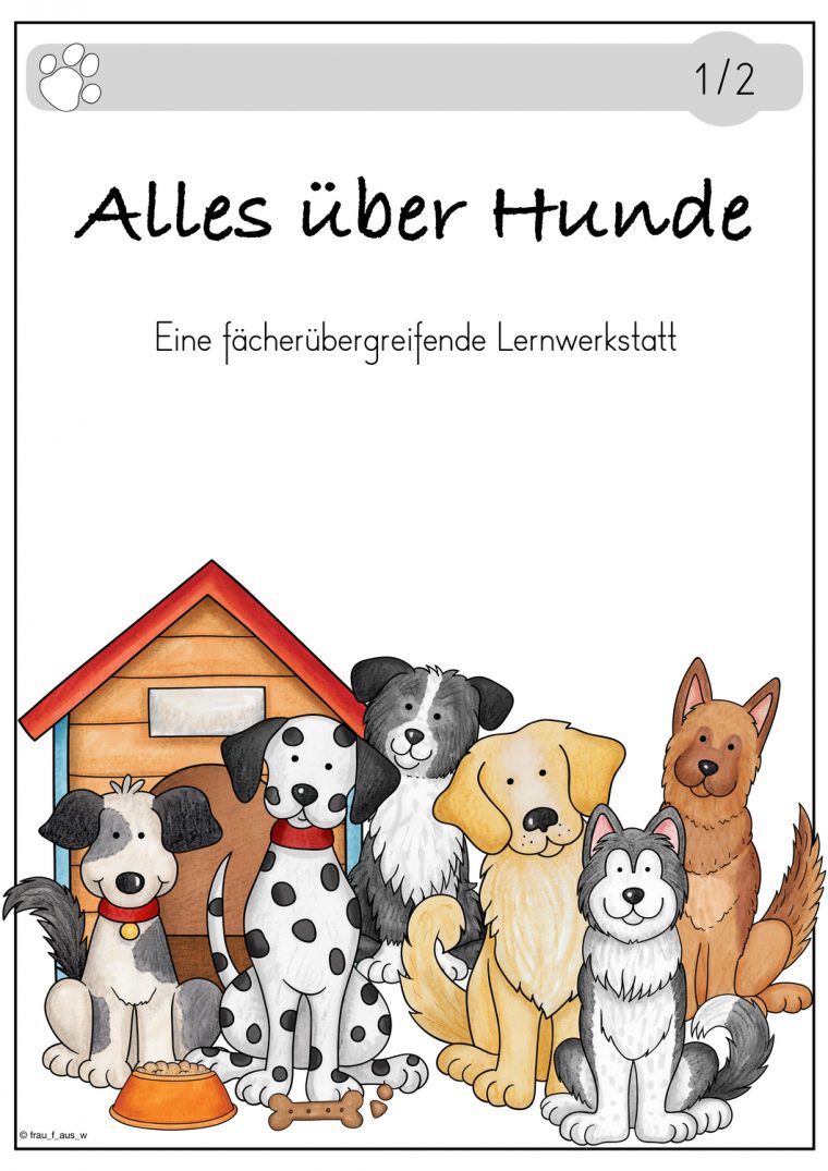 Alles Über Hunde – Eine Fächerübergreifende Lernwerkstatr encequiconcerne Unterrichtsmaterial Ubungsblatter Fur Die Grundschule