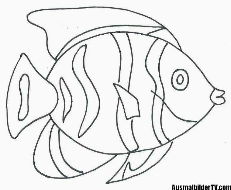 Ausmalbilder Fische Gratis | Ausmalbilder Fische concernant Ausmalbilder Fische Kostenlos Ausdrucken