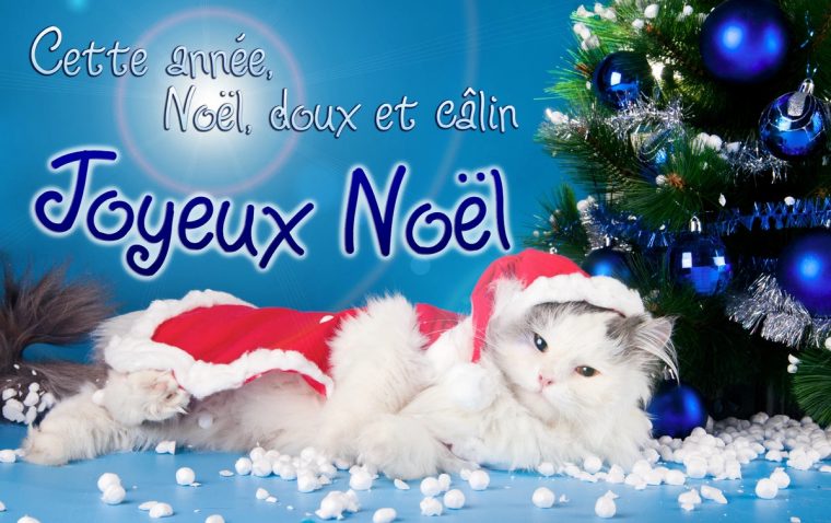 Cartes Virtuelles Chat Noel – Joliecarte dedans Carte De Souhaits Virtuelles Gratuites