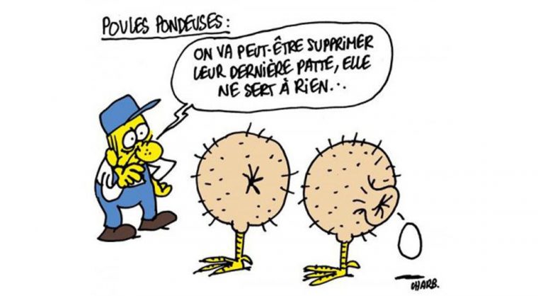 Charlie Hebdo : Les Meilleures Caricatures "Vertes" Du concernant Les 44 Meilleures Images De Jeunes