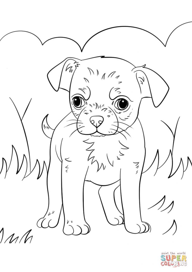 Chihuahua Puppy Coloring Page | Free Printable Coloring Pages tout Dessins A Colorier Rottweiler