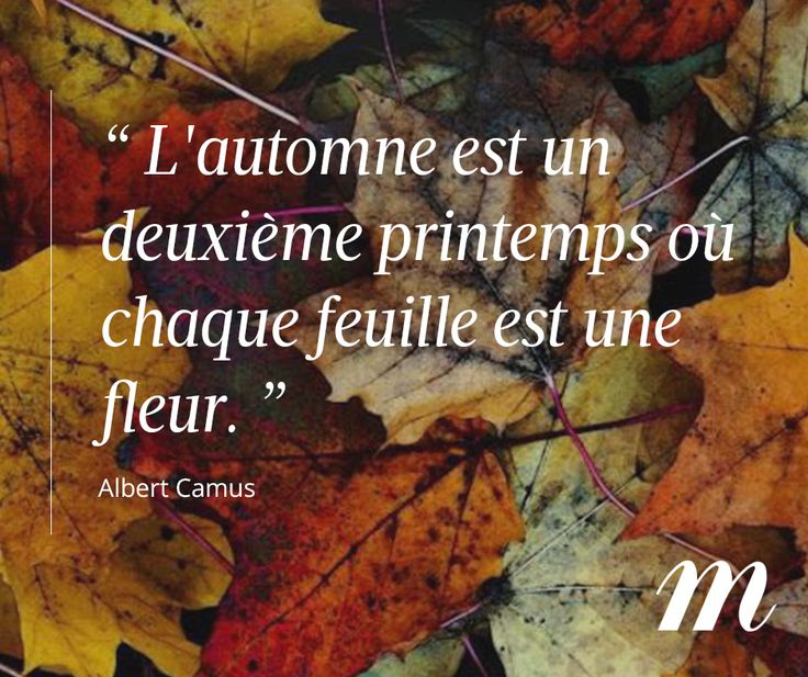 Citation Albert Camus, Saison, Automne | Albert Camus à Poeme Sur Les Fleurs Facebook Avec Photos