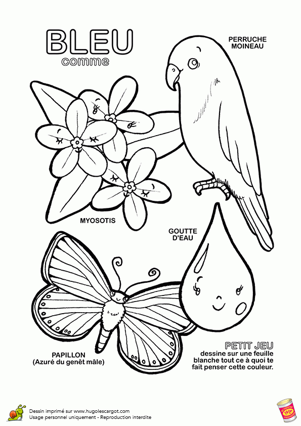 Coloriage Les Nuances De Bleu tout Apprendre Les Couleurs A Imprimer