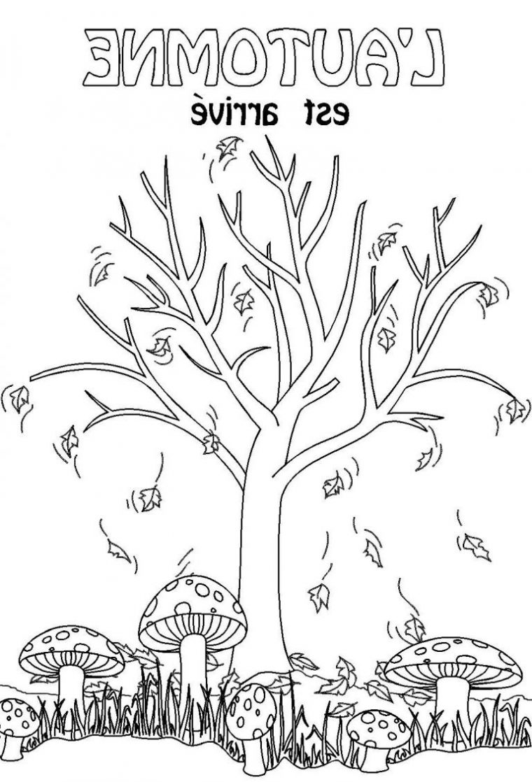 Coloriage Paysage Automne Cool Photographie Le Thème De L concernant Coloriage Arts Maternelle