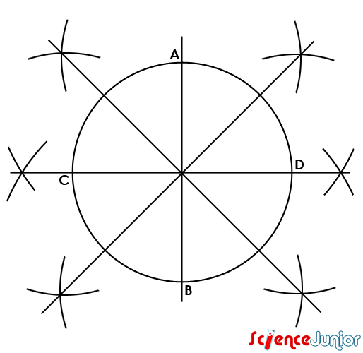 Comment Dessiner Une Boussole intérieur Comment Dessiner  Une Brebis