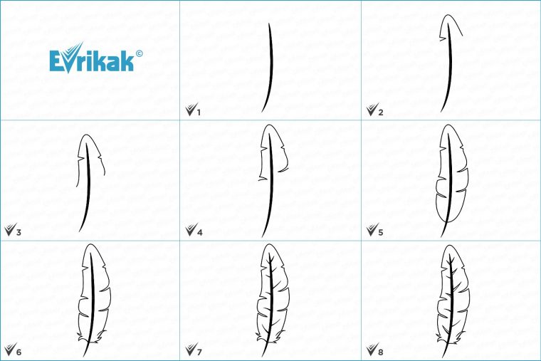 Comment Dessiner Une Plume D'Oiseau Progressivement Avec dedans Comment Dessiner  Une Brebis