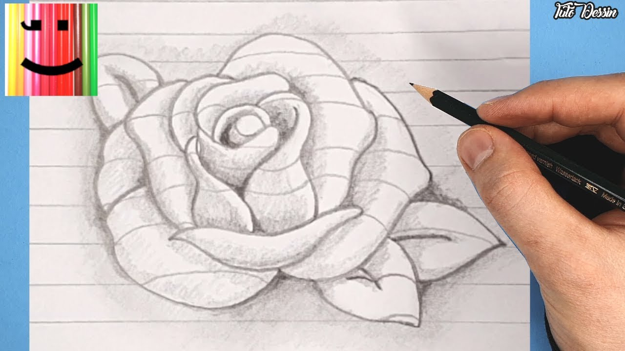 Comment Dessiner Une Rose En 3D - Tuto Dessin - intérieur Comment Dessiner  Une Brebis