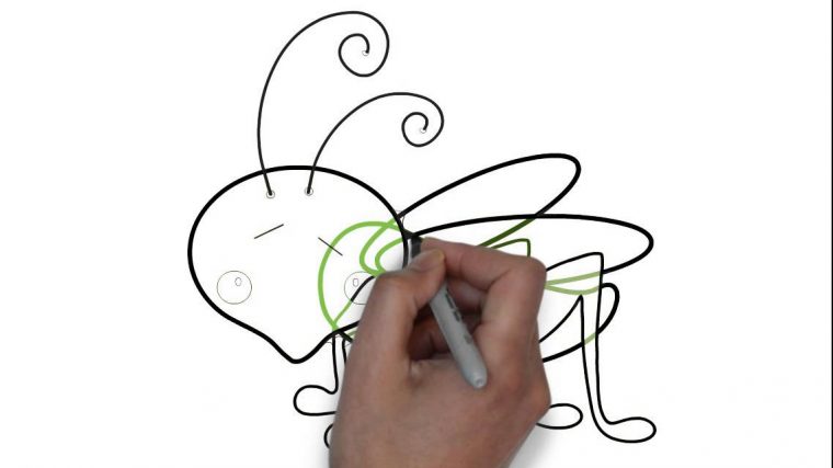 Comment Dessiner # Une Sauterelle – tout Comment Dessiner  Une Brebis