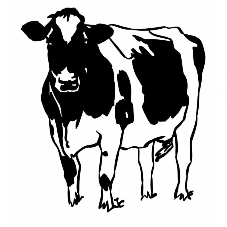 Dessin D Une Vache – Greatestcoloringbook dedans Dessin A Colorier D Etables Avec Des Vaches Dedans