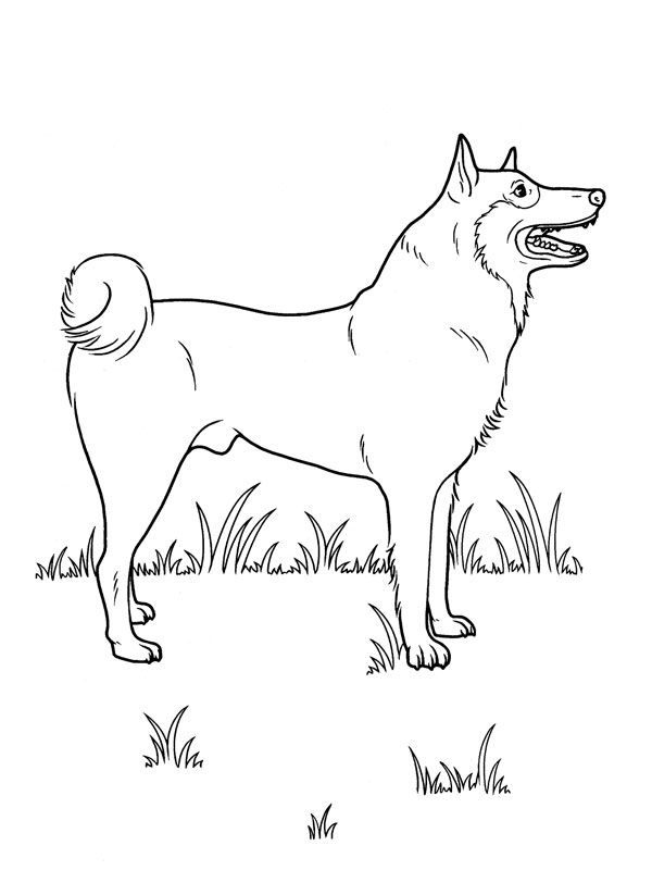Dessin De Chien Loup Facile – Les Dessins Et Coloriage tout Dessin Chien Marrant Facile Dessiner Dessin De Chien Loup Facile – Les Dessins Et Coloriage tout Dessin Chien Marrant Facile Dessiner