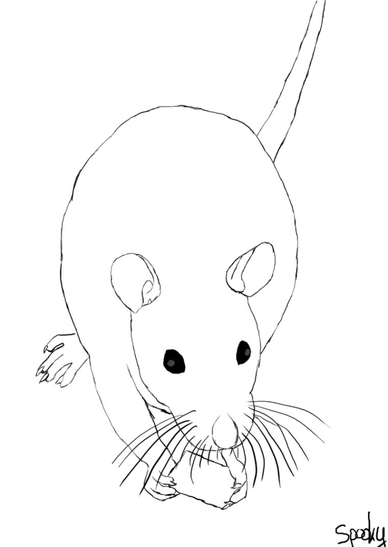 Dessin Facile Rat – Altoservices tout Dessin De Tank Facile