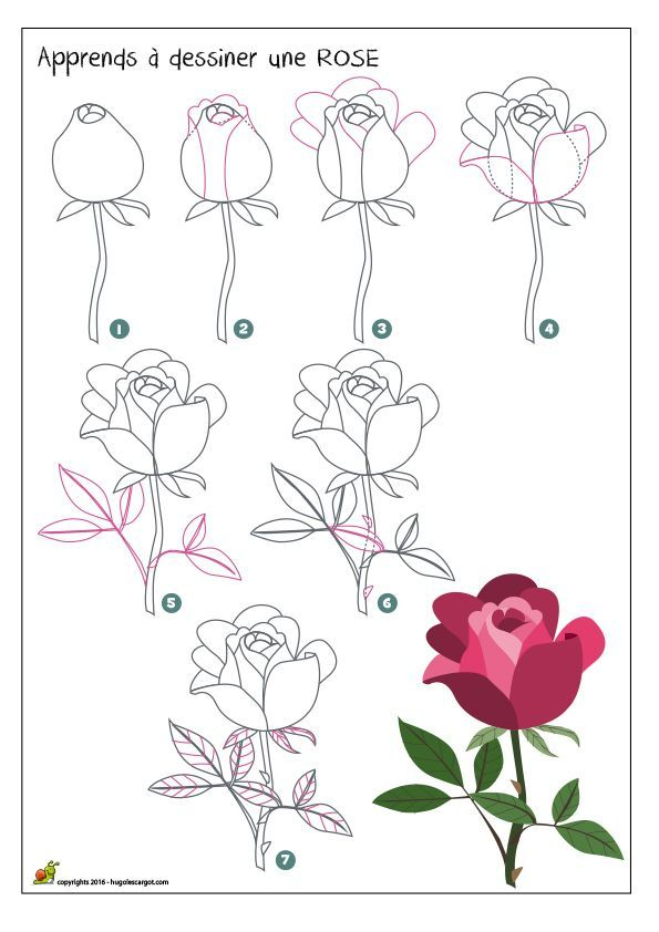 Dessiner Une Rose | Roses Drawing, Flower Drawing, Easy avec Des Fleurs De Printemps A Dessiner