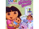 Dora L'Exploratrice Vol.13 : Dora Grande Soeur En Dvd tout Dora And Friends Au Coeur De La Ville Saison 1
