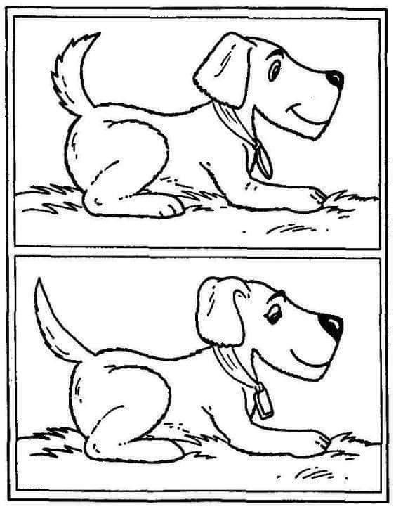 Épinglé Par Mama Sur التعليم التحضيري | Jeux Difference serapportantà Coloriage Des Alphas En Ligne