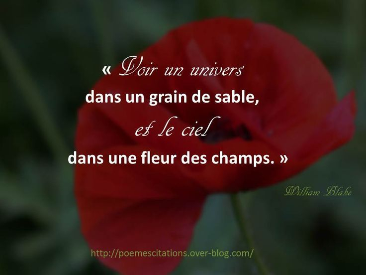 Épinglé Sur Sagesse De La Nature concernant Poeme Sur Les Fleurs Facebook Avec Photos
