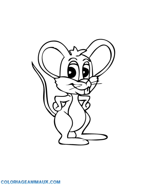 🎨Coloriage Petite Souris Avec De Grandes Oreilles À Imprimer intérieur Souris De Dessin Anime