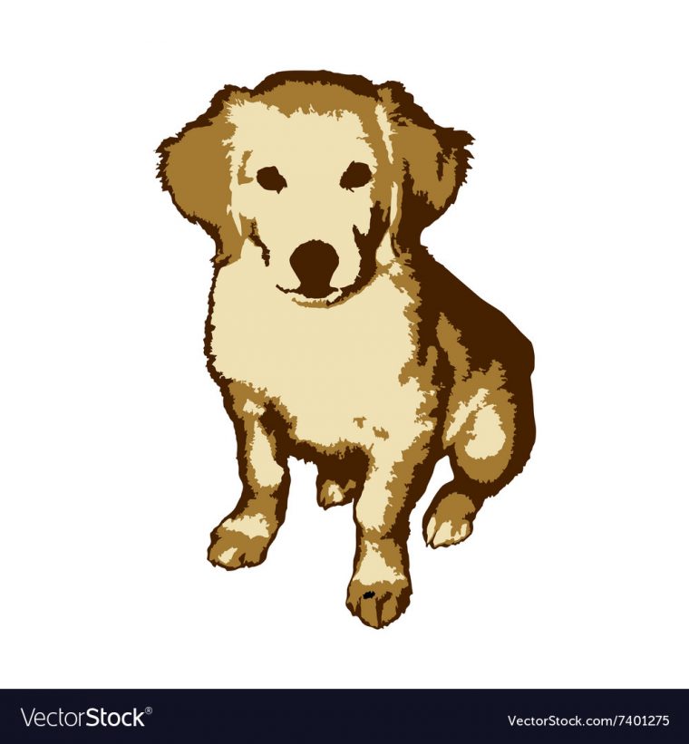 Fun And Cute Little Dog Golden Retriever Vector Image avec Dessin De Golden Rechiver