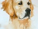 Google+ | Peintures De Chien, Dessin De Chien, Portraits dedans Golden Retriever Dessin