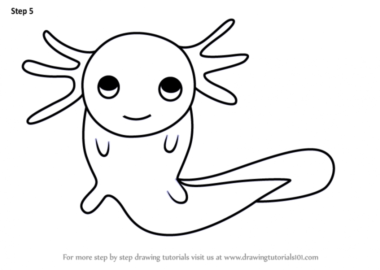 axolotl coloring page