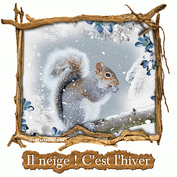 Il Neige – C'Est L'Hiver – Gif Animé – Écureuil – Neige intérieur C'Est L'Hiver Ppt Il Neige – C'Est L'Hiver – Gif Animé – Écureuil – Neige intérieur C'Est L'Hiver Ppt