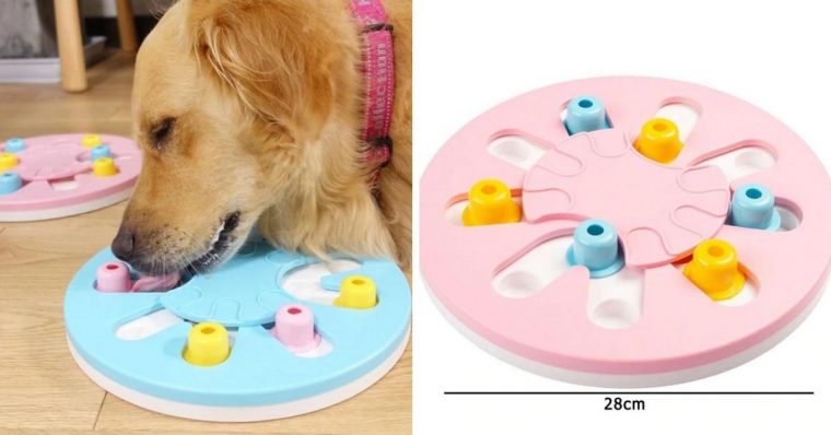 Jouet Puzzle Pour Chien | Jouet D'Entraînement, Interactif destiné 10 Jeux Pour Simuler Ton Intelligence Jouet Puzzle Pour Chien | Jouet D'Entraînement, Interactif destiné 10 Jeux Pour Simuler Ton Intelligence