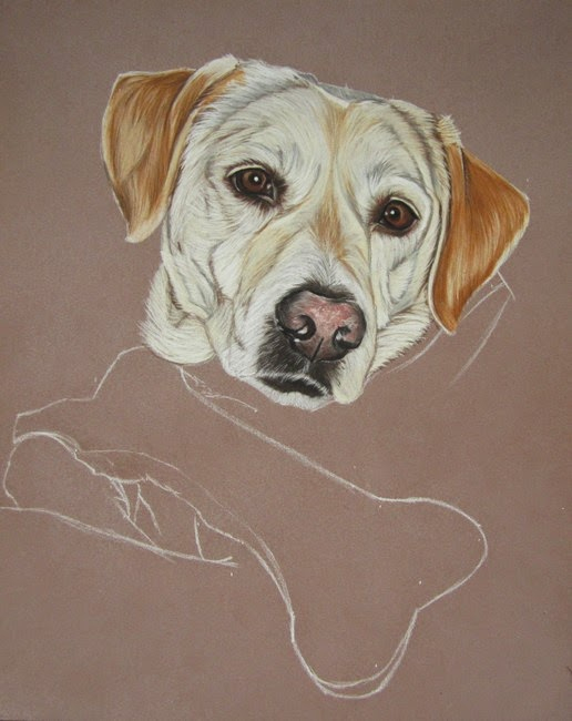 Le Blog Animalier : Portraits D'Animaux intérieur Dessin Labrador Beige