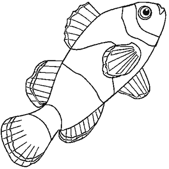 Le Dessin Représente Un Poisson Clown Comme L'Est Némo dedans Poisson D'Avril A Imprimer Hugo L'Escargot