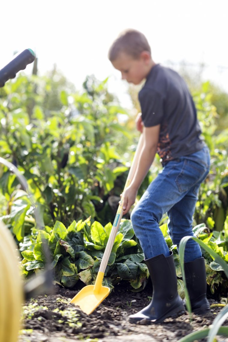 Leborgne Lance Une Gamme D'Outils De Jardinage Pour Les dedans Outil Jardinage Bino