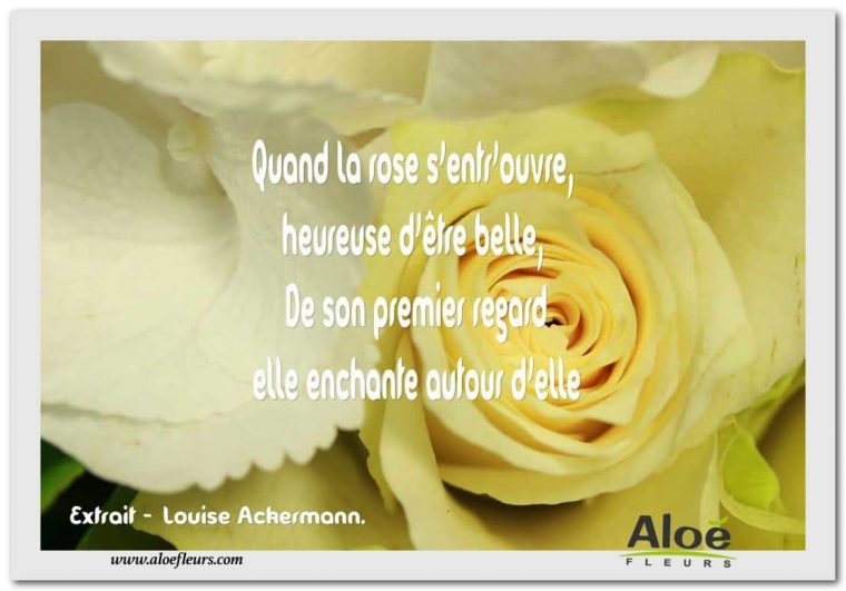 Les Poèmes En Fleurs » Aloe Fleurs destiné Poeme Sur Les Fleurs Facebook Avec Photos
