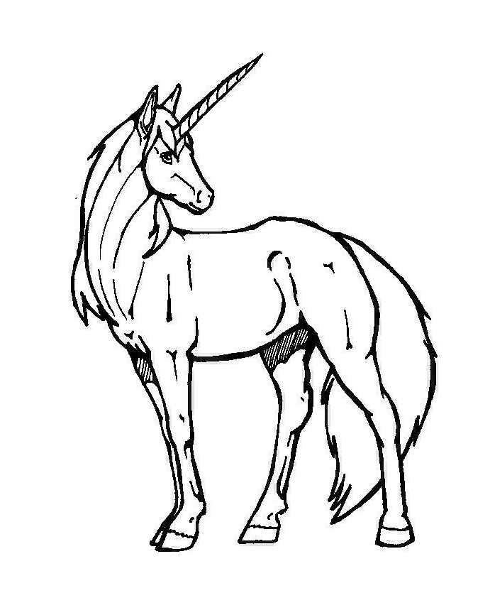 Licorne 13 Coloriage De Licornes Coloriages Pour Enfants intérieur Dessin A Colorier Licorne