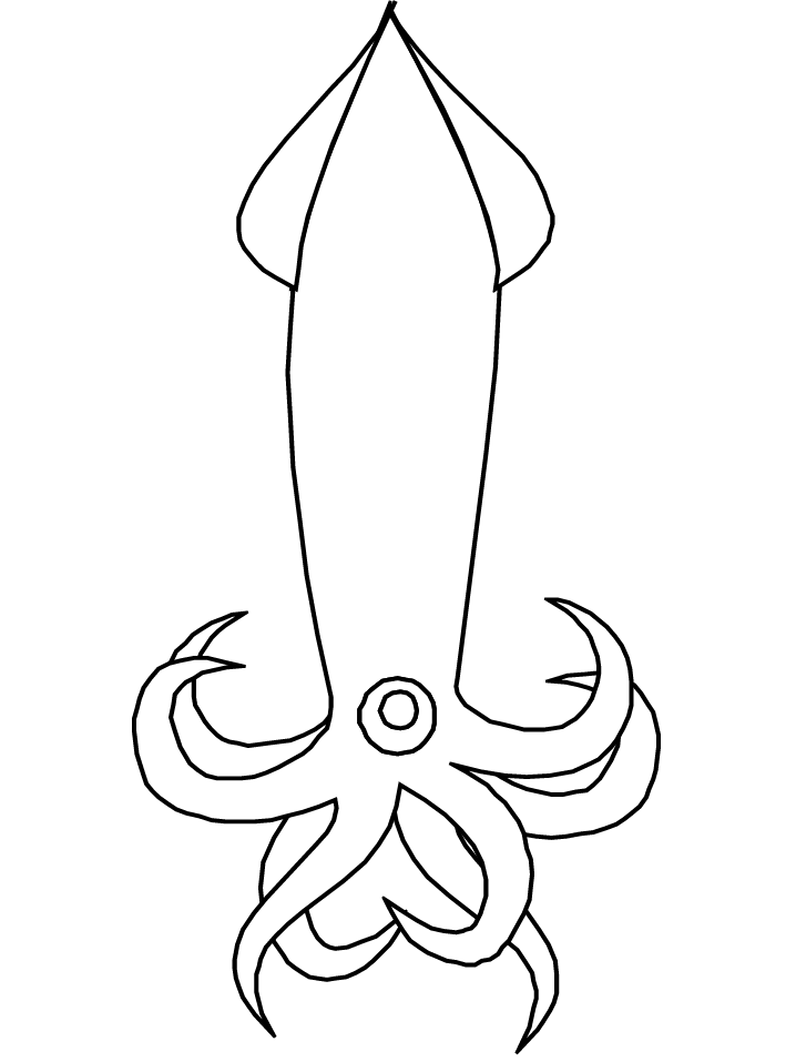 coloring pages squid coloring pages squid